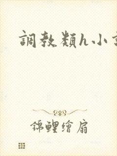 调教类h小说