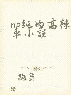 np纯肉高辣公车小说