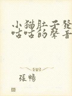 小猫肚子发出咕咕咕的声音