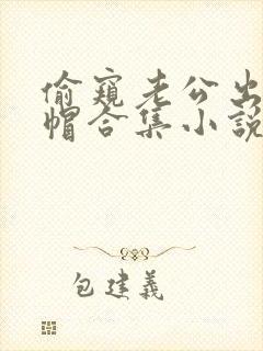 偷窥老公出轨绿帽合集小说