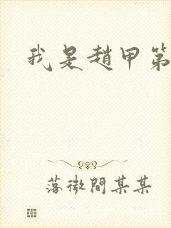 我是赵甲第小说