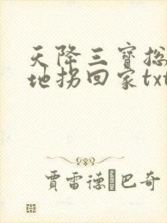 天降三宝总裁爹地拐回家txt封面