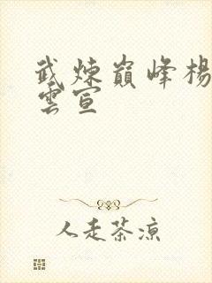 武炼巅峰杨开和云宣封面