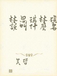 林思琪林砚书小说叫什么名字