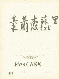 某某木苏里小说未删版txt