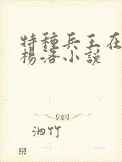 特种兵王在都市杨洛小说