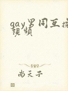 gay男同互操视频