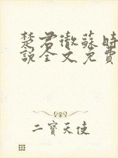 楚君彻苏时锦小说全文免费阅读封面