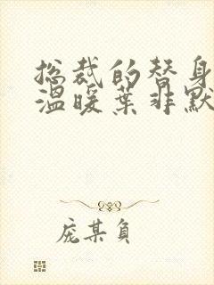 总裁的替身前妻温暖叶非默