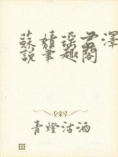 苏婧瑶君泽辰小说笔趣阁