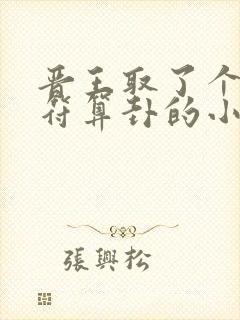 晋王取了个会画符算卦的小王妃小说