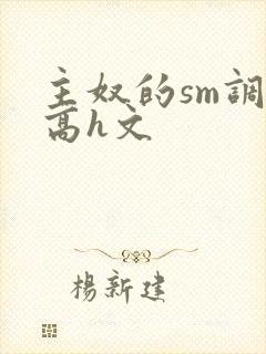 主奴的sm调教高h文