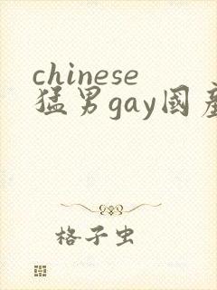 chinese猛男gay国产