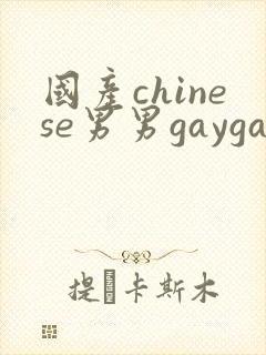 国产chinese男男gaygay网址搜索