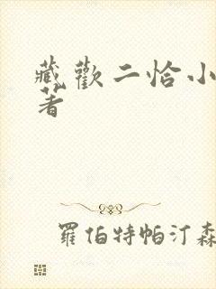 藏欢二恰小说原著