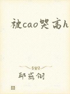 被cao哭高h