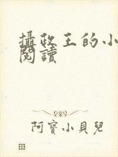摄政王的小闲妻阅读