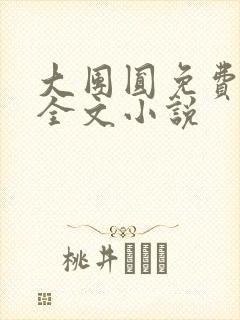 大团圆免费阅读全文小说