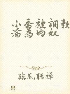 小乔被调教喷水沦为肉奴