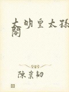 大明皇太孙笔趣阁封面
