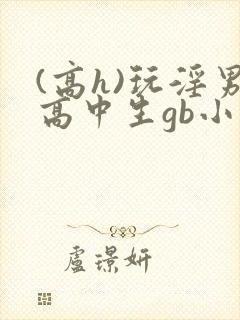 (高h)玩淫男高中生gb小说