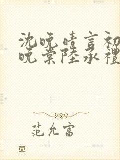 沈晚晴言初小沈晚棠陆承礼