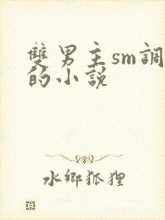 双男主sm调教的小说