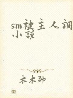 sm被主人调教小说