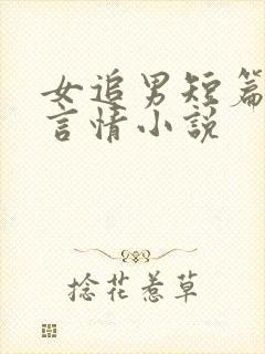 女追男短篇现代言情小说