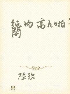 纯肉高h啪笔趣阁