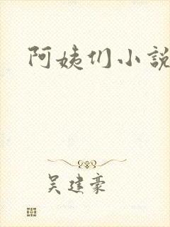 阿姨们小说原名