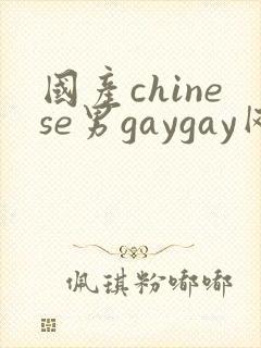国产chinese男gaygay网站