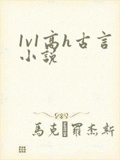 1v1高h古言小说