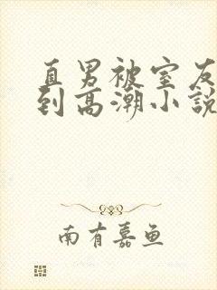 直男被室友调教到高潮小说