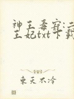 神王毒宠:二嫁王妃txt下载封面