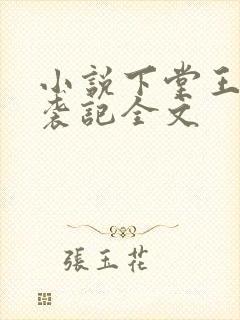 小说下堂王妃逆袭记全文