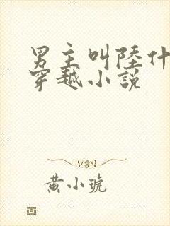 男主叫陆什么的穿越小说