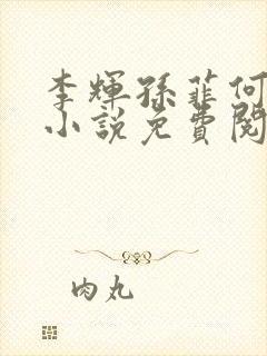 李辉孙菲何倩的小说免费阅读全文