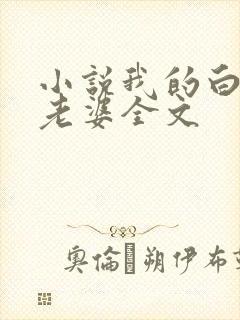 小说我的白富美老婆全文