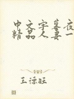 中文字幕夜夜嗨精品人妻一区二区