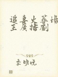 追妻火葬场双男主广播剧