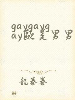 gaygaygay欧美男男