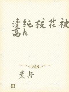 清纯校花被调教高h