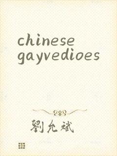 chinesegayvedioes