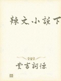 辣文小说下载