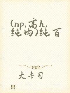 (np,高h,纯肉)纯百封面