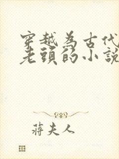 穿越为古代农家老头的小说