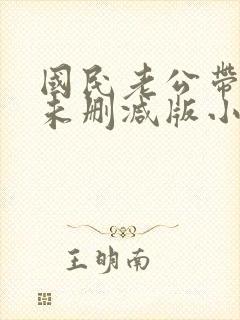 国民老公带回家未删减版小说