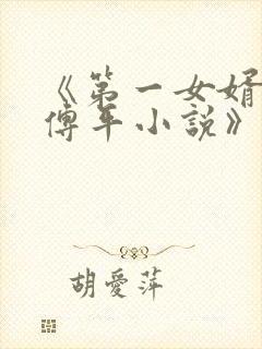 《第一女婿李艳傅平小说》