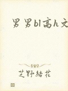 男男bl高h文